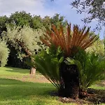 Holiday home Hephaestus Etna - With Private Pool *
