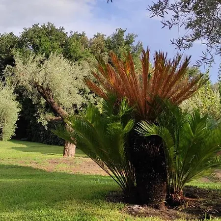 بيت للعطل Hephaestus Etna - With Private Pool *