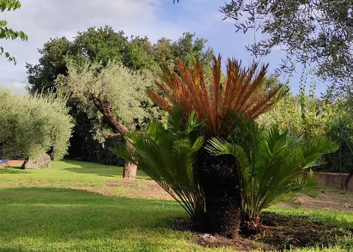 Holiday home Hephaestus Etna - With Private Pool *